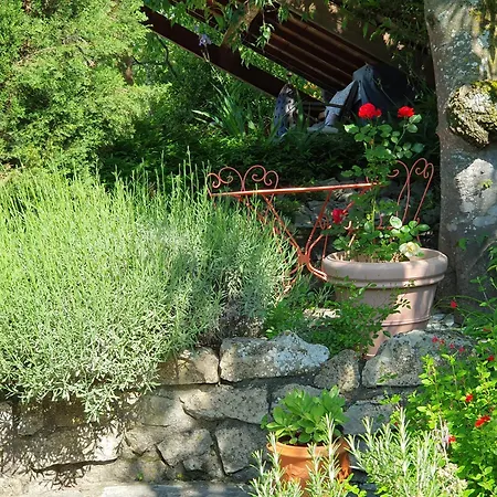 Maison De Caractere - Piscine Privee - Sud Ardeche *
